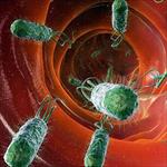 نقش-میکروبیوم-ها-در-سیستم-ایمنی